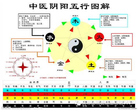 金火相剋|五行相生相剋:五行,四季五行,相生相剋,概念對應,五行。